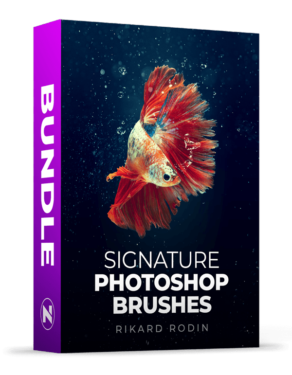 Signature Brush Bundle upsell